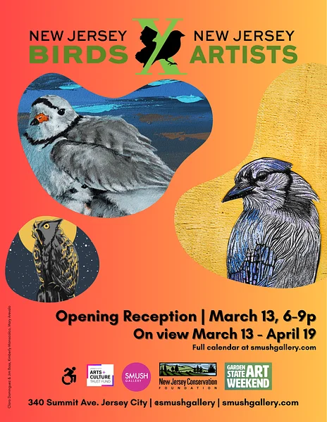 New Jersey Birds X New Jersey Artists